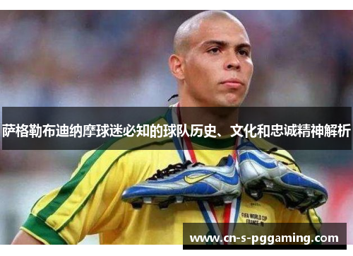 萨格勒布迪纳摩球迷必知的球队历史、文化和忠诚精神解析